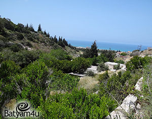 בוסתן כיאט | צילום: Hanay