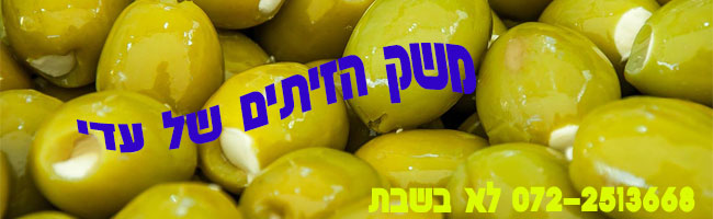 מודעה-זיתים-חדשה