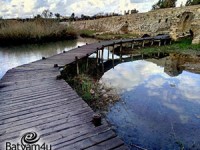 נחל התנינים | צילומים איציק טהורי