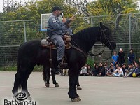 פרש על סוס | ארכיון