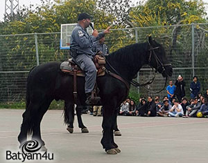 פרש על סוס | ארכיון