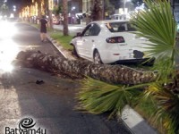 זירת התאונה הלילה | צילומים: דוברות איחוד הצלה