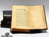 צילום: שאטרסטוק