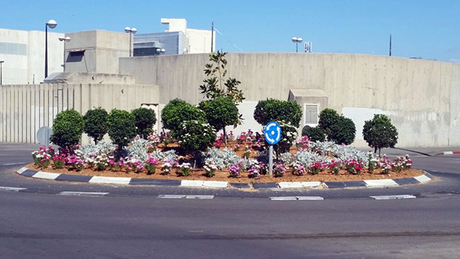 כיכר הרב לוי-רזיאל 