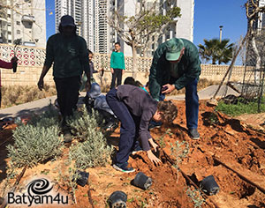 תלמידי "בן גוריון" נוטעים