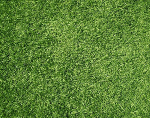 עיצוב גינה עם דשא סינטטי