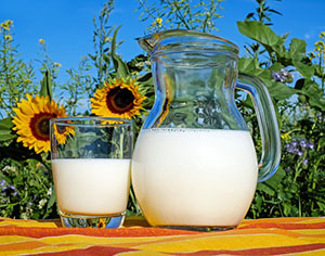 ההבדל בין חלב נכרי לאבקת חלב נכרי