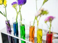 בדיקות גנטיות לפני החזרת עוברים