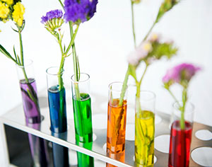 בדיקות גנטיות לפני החזרת עוברים