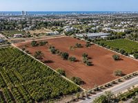 קדימה צורן: היישוב השקט בשרון שהופך ליעד ההשקעה הבא בקרקעות