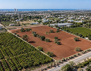 קדימה צורן: היישוב השקט בשרון שהופך ליעד ההשקעה הבא בקרקעות